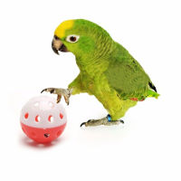 5pcs Pet Parrot Toy สีสัน Hollow Rolling Bell Ball ของเล่นนก Parakeet Cockatiel Parrot Chew Cage ของเล่นสนุกสัตว์เลี้ยงอุปกรณ์นก-lihaibo2