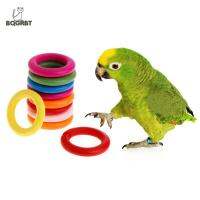 BQGRBT นกแก้ว Atiel Parakeet ที่มีสีสันอุปกรณ์ของเล่นรูปนกสำหรับสัตว์เลี้ยงแบบทำมือ