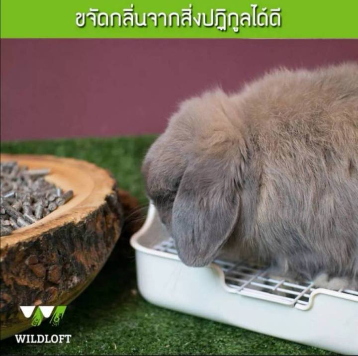 ขี้เลื่อยไม้สน-wildloft-ขี้เลื่อยดับกลิ่น-ขนาด-4l