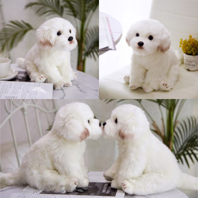 Plush Maltese Dog Simulation Doll Shaped Stuffed Toy Gift Home Decor Two Sizes