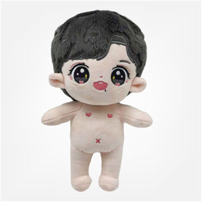 20CM Star Souvenir Doll New Idol Plush Toy High Quality Star Souvenir Wang Yibo Xiaozhan Fan Collection Gift