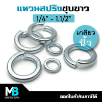 แหวนสปริง ชุบขาว เกลียวนิ้ว 1/4 - 1.1/2 นิ้ว Spring Washer Zinc แหวนกันคลาย แหวนสปริงชุบซิงค์