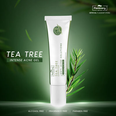 PLANTNERY TEA TREE INTENSE ACNE GEL 15 G.(เจลแต้มสิว ที ทรี สูตรเข้มข้น )