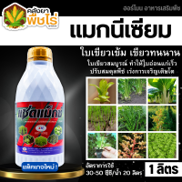 ? แซดแม็กซ์ (แมกนีเซียม8%) 1ลิตร ใบเขียวเข้ม เขียวทนนาน