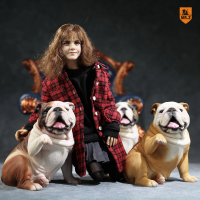 16 Scale Mr. Z050เรซิ่นสัตว์ขนาดเล็กรุ่นภาษาอังกฤษ Bulldog รุ่นของเล่น FIVE 12 "Action FIGURE ของเล่นอุปกรณ์เสริมตกแต่งบ้าน