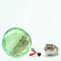 Zecetim 10CM Hamster Running Ball Run ลูกบอลออกกำลังกาย Run-About Mini Ball สำหรับสัตว์เลี้ยงขนาดเล็ก (สีสุ่ม)