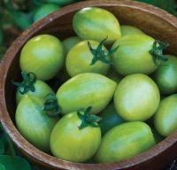 50 เมล็ดพันธุ์ มะเขือเทศ ผลสีเขียว Green Tomato seed. มีคู่มือพร้อมปลูก อัตรางอกสูง 80-85%