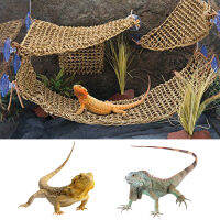 DySunny Lizard Lounge เก้าอี้สาหร่ายธรรมชาติเส้นใย,เหมาะสำหรับ Anole, Bearded Dragon,ตุ๊กแก,Iguanas และฤาษีปูสามเหลี่ยม