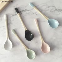 5PCS/Set Multicolor Cooking Utensil Tool Soup Teaspoon Catering For Kicthen Dessert Spoon Candy Colors Style Rice Spoon Serving Utensils