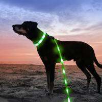 Luminous Pet Dog Collar Light Anti-Lost/Avoid Car Accident Pets Puppies Dogs Leash Safety Collar with Battery