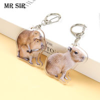 Creative Capybara พวงกุญแจอะคริลิค KeyRing น่ารักการ์ตูนสัตว์ Capybaras ยอดนิยมสำหรับผู้หญิงกระเป๋ารถจี้อุปกรณ์เสริมของขวัญ