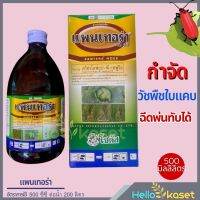 ยากำจัดหญ้าใบแคบ แพนเทอร่า 40 อีซี ขนาด 500 ซีซี ควิซาโลฟอป-พี-เทฟูริล ในป่ามัน ฉีดสาดได้เลย ไม่มีผลต่อมัน ตายถึงรากถึงโคน