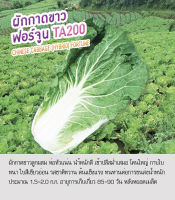 เมล็ดพันธุ์ ผักกาดขาว ฟอร์จูน - Chinese Cabbage Fortune TA200 ตราดอกแตง เมล็ดพันธุ์คุณภาพ "เพื่อนเกษตรกร"