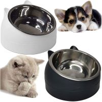 Raised Puppy Dog Bowl Tilted Elevated Pet Feeder Non-Spill Cat Food Dish Anti-Slip Detachable Stainless Steel Bowl for Small Dog