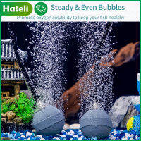 HATELI 5Pcs Aquarium Air Stone Ball Bubble Diffuser Release เครื่องมือสำหรับ Nano Air ปั๊มถังขนาดเล็กและถังปลา