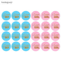 hedeguoji?Gift?Cheap? 24ชิ้น/เซ็ตทีม Boy Team Girl Sticker Boy หรือ Girl Vote Sticker สำหรับเพศเปิดเผย