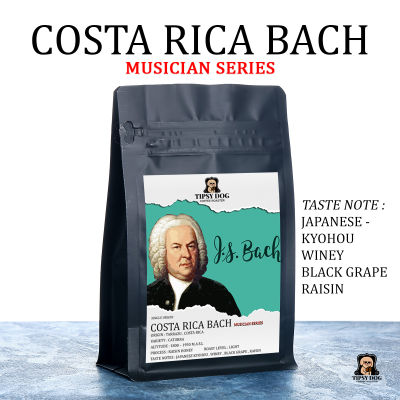 Costa Rica Canet Bach Musician Series - เมล็ดกาแฟคั่วอ่อน