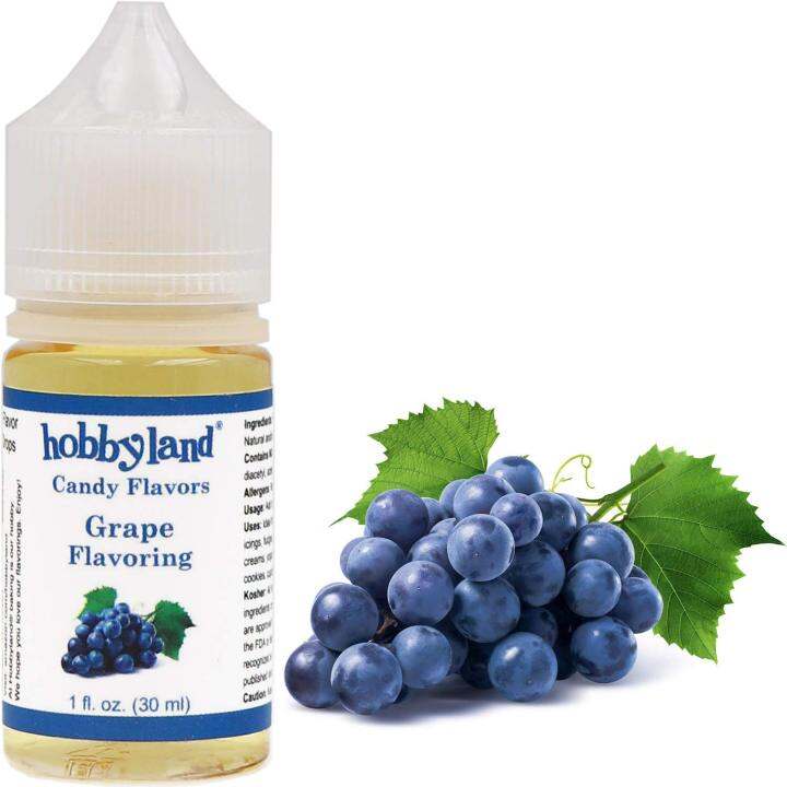 Hobbyland Candy Flavors (Grape Flavoring, 1 Fl Oz), Grape Concentrated