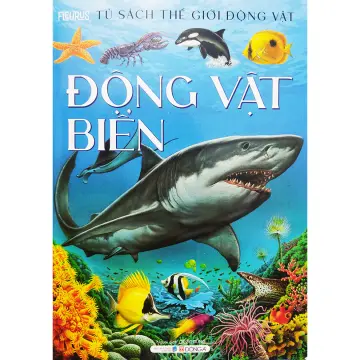 Tác động của con người lên đại dương và hệ sinh thái biển?
