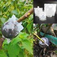 10/20pcs Plant Rooting Ball Grafting Root Growing Box tray Transparent Breeding seeding Graft Case Container Nursery cup Tools