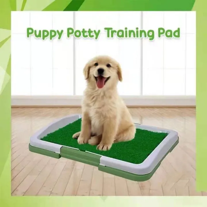 Green Puppy Potty Trainer Indoor Puppy Potty Feces Pee Pad Lazada PH
