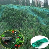 2m / 4mx10m Anti Bird Protect Tree Net Fruit Crop Plant Garden Pond Netting Mesh