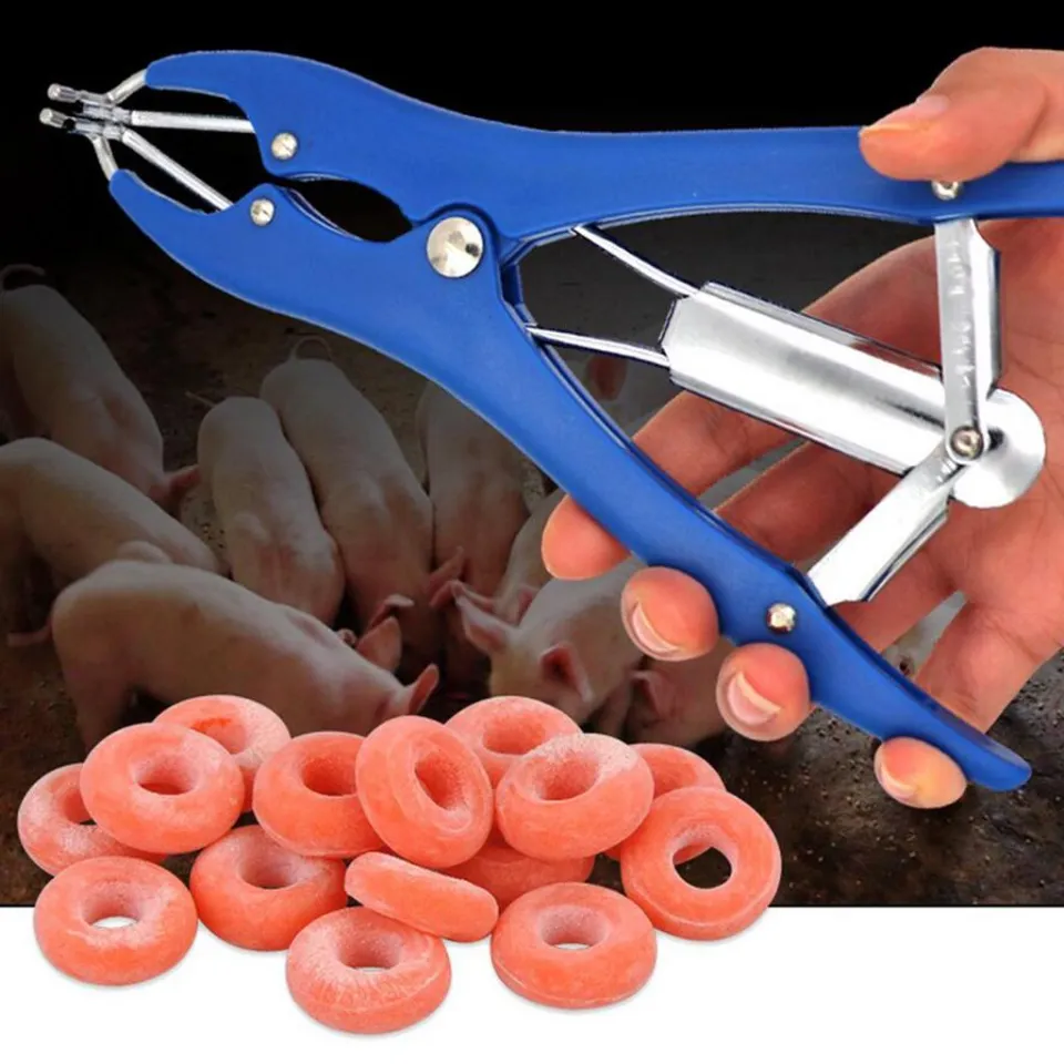 Animal Castration Pliers Tail Cutter Castration Banding Stainless Steel Pig  Cattle Sheep Goat Castration Device With 100 Rubber Ring (animal Castratio  | Fruugo NO