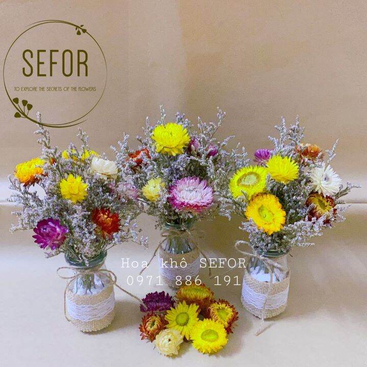 Lọ Hoa Bất Tử Khô - Hoa Bất Tử Khô Mix Sao Đuôi Công Khô - Trang Trí Quán  Cafe, Văn Phòng, Tiệm Trà Sữa, Làm Quà Tặng.... | Lazada.Vn