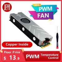 【CW】 JEYI Cooling Warship Xiaolong Fan NVME NGFF M.2 Heatsink Ssd Aluminum Sheet Thermal Conductivity Silicon Wafer