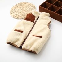 （Good baby store） Winter Autumn Girls Warm Vest Boys Thicken Double Side Wear Waistcoat Kids Outerwear Children Cotton Jackets Vest For 2 6 Years