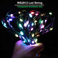 WS2812B LED String RGB DreamColor Lighting Waterproof IP67 Addressable Individually RGBIC LED Module DC/USB Music Controller 5V Fairy Lights