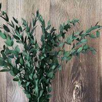 45g/25 45CMDecorative Dried Flowers Preserved Eucalyptus Tenuifolia BouquetLeaves Eternelle Eucalyptus Camaldulensis Garland