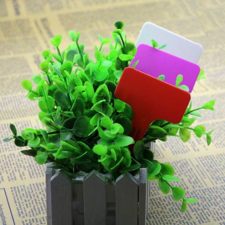 plastic-nursery-tag-garden-planting-tools-potted-plant-decorative-labels-plant-flowers-identification-card-50-pcs