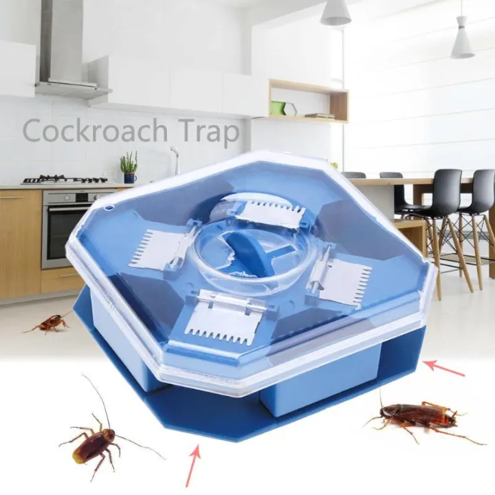 Phstore cockroach catcher, trap, squatter ipis | Lazada PH