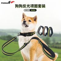 [COD] collar pet leash comfortable reflective teddy golden retriever set