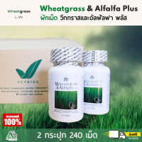 (2 กระปุก) Wheatgrass &amp; Alfalfa Plus ? ผลิตภัณฑ์อาหารเสริมแอมสตรอง วีทกราส อัลฟัลฟ่า พลัส ผักเม็ด สูตรดั้งเดิม