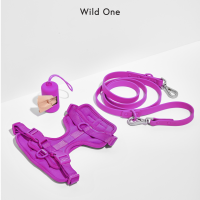 ? Limited Color! │ Wild One – Walk Sets│ Orchid