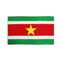 superonezxz 90X150cm SUR SR Republiek Suriname Flag High Quality Double Sided Printed Polyester 3x5ft Suriname flag