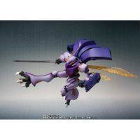 ROBOT soul  Dunbine (SHADOW FINISH Ver.) 4573102603135