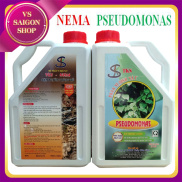 PSEUDOMONAS VÀ NEMA Xử Lý Chết Nhanh