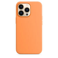 Silicone Case for 13 Pro Max 13 Mini 13 Pro Case with MagSafe and Gift Lens Film with Animation