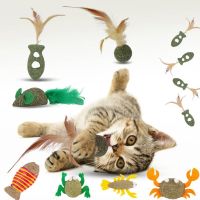 Pet Catnip Toys Edible Catnip Ball Healthy Cat Mint Cats Household Chasing Game Toy Products Cleaning Teeth Pet Toy Supplies