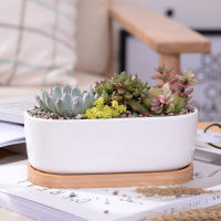 1 Set Minimalist White Ceramic Succulent Plant Pot Porcelain Planter Decorative Desktop Flowerpot Home Decor(1 Pot + 1 Tray)
