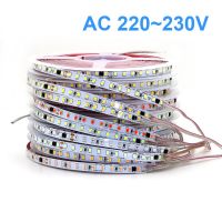 แถบโคมไฟบ้าน AC220V 230V 5M 600 2835 120 Led/m แถบน้ำแข็งแดงฟ้าสีเขียวเหลืองชมพูยืดหยุ่นและตัดได้แถบโคมไฟเพดานหลอดไฟ LED