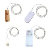 hot【cw】 Lights Wire String Garland Indoor Bedroom Wedding New Year Decoration USB Battery Powered