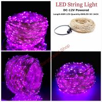 ไฟเม็ดข้าว, 80M 12V LED เส้นลวด Purple 80M 800LED แบบต่อสายแจ็ค ไฟเส้นลวด LED สีม่วง ยาว 80M ไฟหยดน้ำ ประดับห้อง ตกแต่งงานวันเกิด งานสังสรรค์