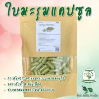 ใบมะรุม (Moringa) ขนาด 50 / 100 แคป (1pcs : 500mg.) สมุนไพรไทยแท้ 100% พร้อมส่ง (Suan Khrua Thai)