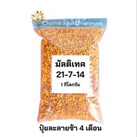 มัลติเทค สูตร 24-7-14  1 กิโลกรัม (สินค้าผลิตใหม่ ของแท้แน่นอน?)  บำรุงการเจริญเติบโตระยะแรก เร่งการแตกหน่อแตกใบ