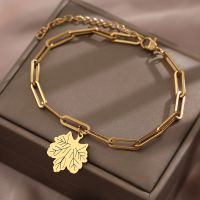 Stainless Steel Bracelets Maple Leaf Amulet Charms Korean Fashion Paperclip Style Chain Bracelet For Women Jewelry Party Gifts