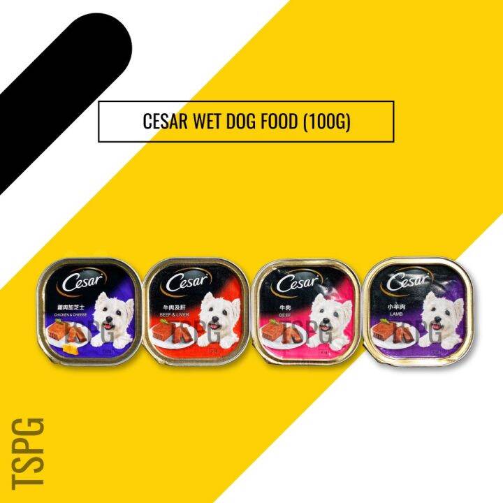Cesar Wet Dog Food 100g♢ Lazada PH
